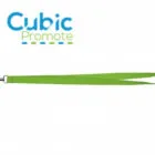 Green lanyard with metal hook, Cubic Promote logo above in blue and green.